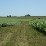 farm-investment-south-america